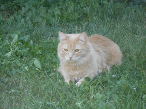 DSCN1377.jpg