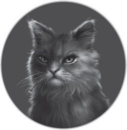 Another Randomized Warrior Cats Wiki Set by TigerLilyStudios on