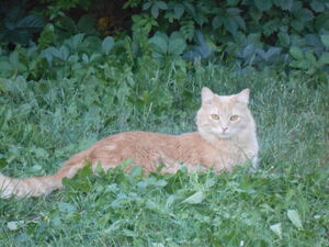 DSCN1376.jpg