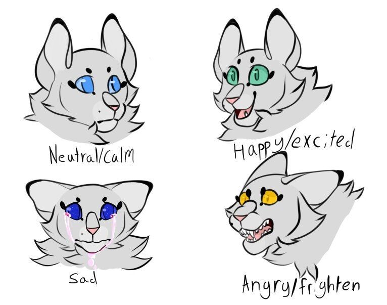 Warrior Cats Name Generator (Funny)