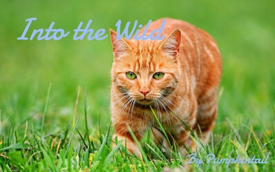 Warrior Cats: Into the wild By: Erin Hunter. SUMMARY: This book is about a  young cat named Rusty, who joins wild cats in the forest to defend  territory, - ppt download