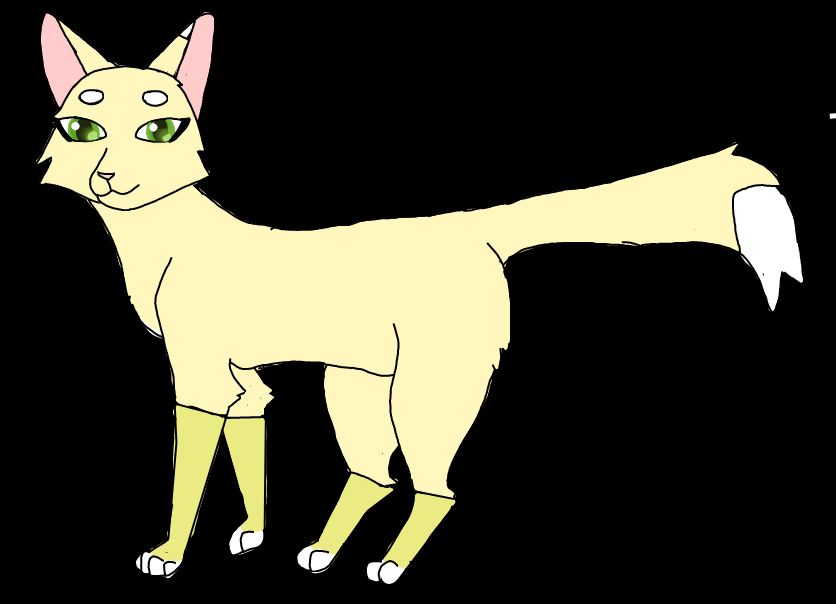 A Deep Dive Into The Warrior Cats Fandom 