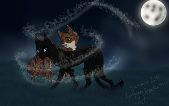 Leafpool and crowfeather by 13lexwolf-d3mzdvl