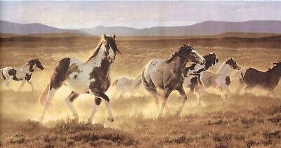 Gallop n.jpg