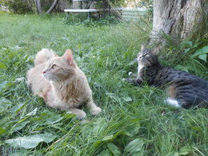 DSCN1380.jpg