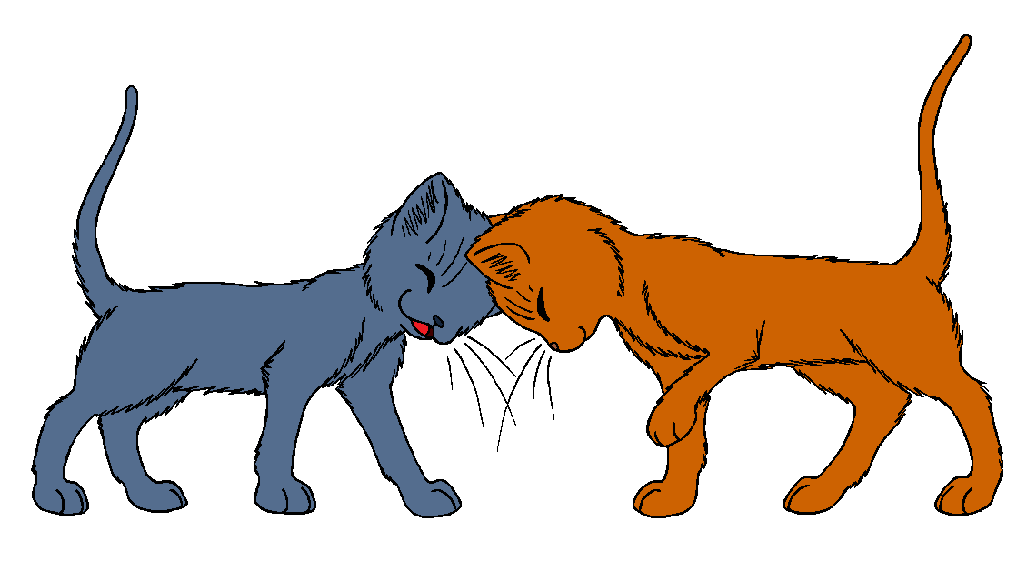 Warrior Cats - Bluestar is next and I absolutely adore the