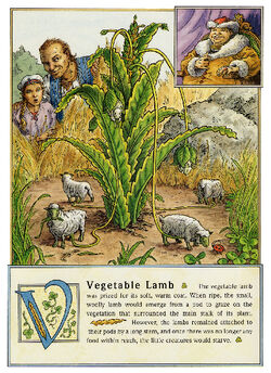 Dbs Jonathan Hunt Bestiary 24 Vegetable Lamb 800.jpg