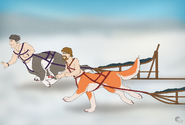 “Let’s race puppy!”
