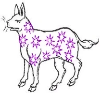 Purple-Spangled Pantheon