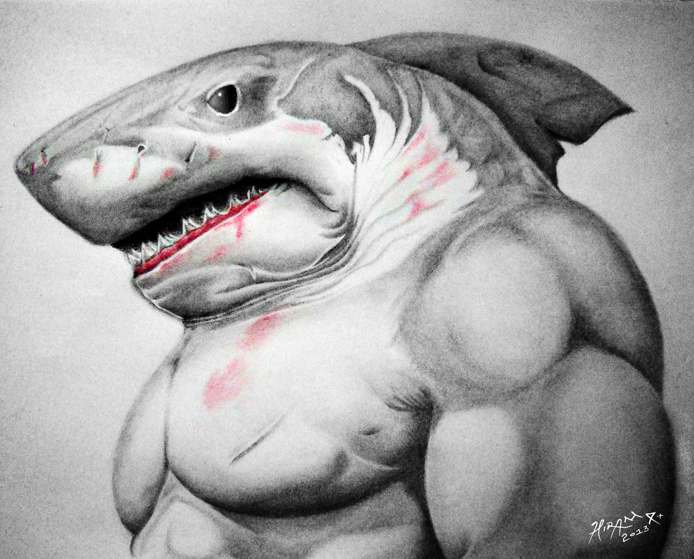 half human half shark