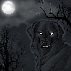 Black Dog ghost