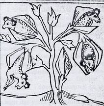 Arvore-dos-carneiros-1-