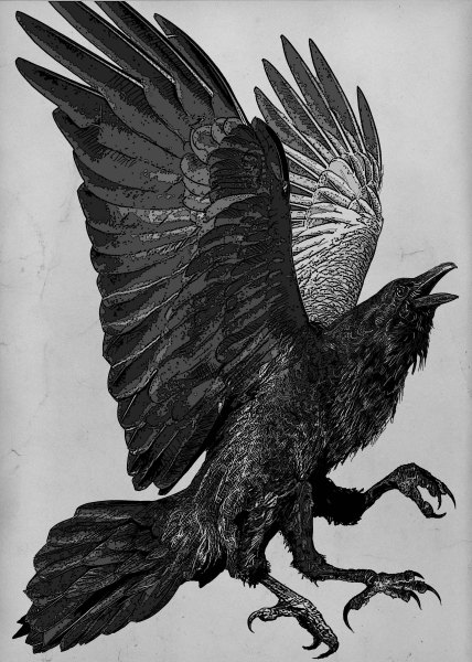 The Legend of Yatagarasu, the three-legged crow and its possible origins