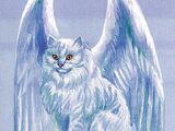 Winged Cat