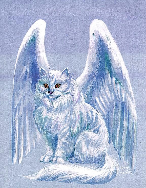 fantasy cats with wings
