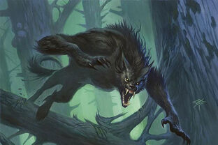 Werewolf, Warriors Of Myth Wiki, Fandom powered by Wikia