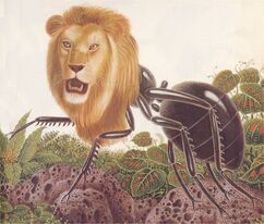 Mermecolion ant-lion-1-