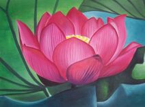 Cindy-curren-japanese-lotus-flower-toren-1-