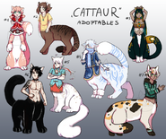 “Let’s adopt all ailurocentaurs!”