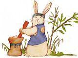 Moon Rabbit