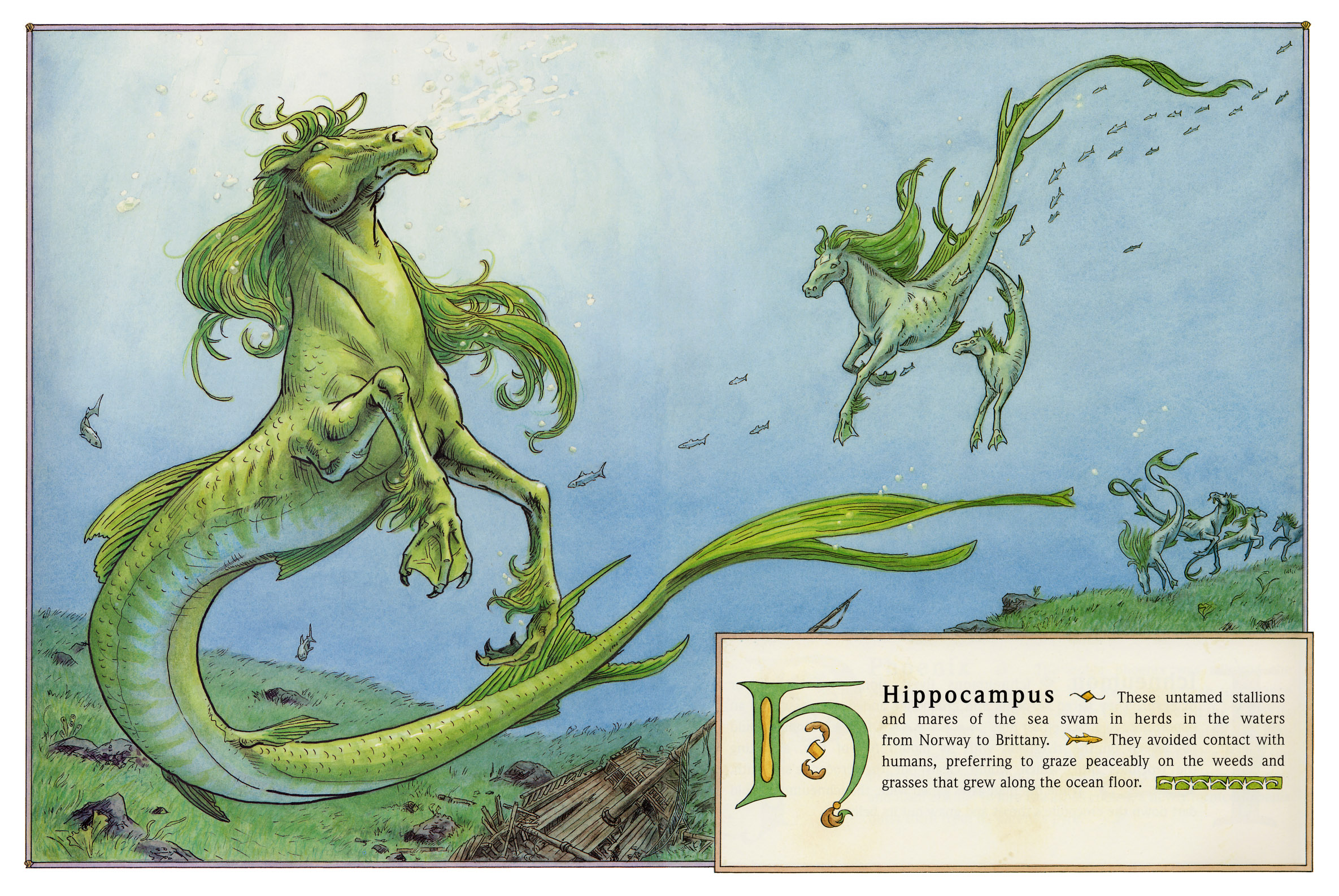 facts about hippocampus mythology