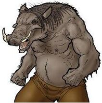 Wereboar concept