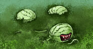 Vampire watermelons. Yeah. They exist.