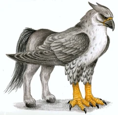 Hippogriff.