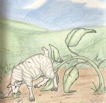 Sheep Plant by Luna Ortis.jpg