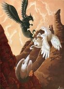 Shade-and-Angel-the-Griffins-griffins-and-dragons-31901615-714-1000-1-