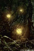 Willowisp2