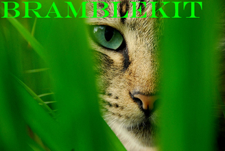 Bramblekit.png