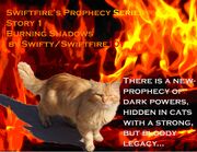 Flame cat cover.jpg