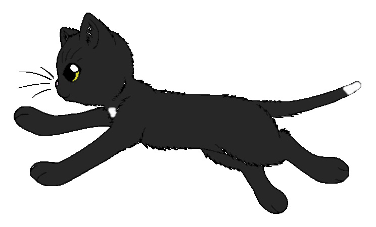 Ravenpaw, Warrior cats Wiki