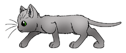 Greypaw