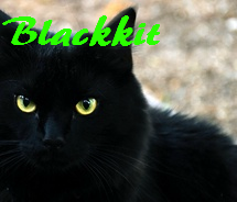 Blackkit.png