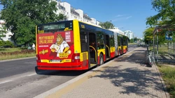 Autobus linii 742 na pętli Osiedle Kabaty (2024)