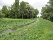 Potok Służewiecki przy skrzyżowaniu Doliny Służewieckiej z Puławską – widok w kierunku wschodnim