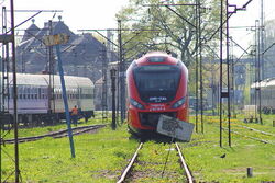 IMG 2819 1.jpg
