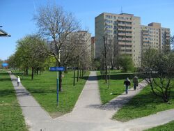 Park Marka Kotanskiego