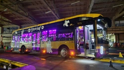 Autobus , który jeździł na linii H1, z haloweenową okleiną (). Zdjęcie z Facebooka .