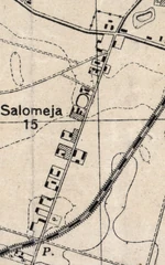 Salomea 1931