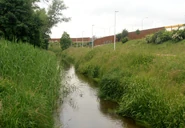 Kanał Nowa Ulga, rejon ul. Płowieckiej