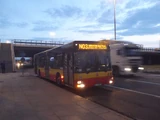 N03