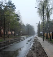 Aleja Dzieci Polskich (rejon ul. Wisienki)