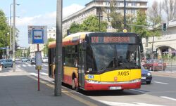 Odyńca (174)