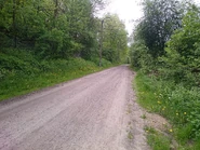 Piaszczysty fragment ul. Gąsek, odcinek północny (2015)