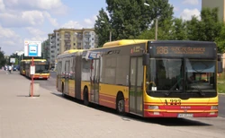 Tarchomin (przystanek, autobus 186)