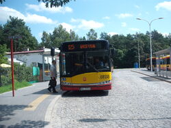 Autobus linii  na pętli Międzylesie