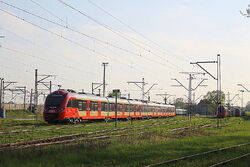 IMG 2902 1.jpg